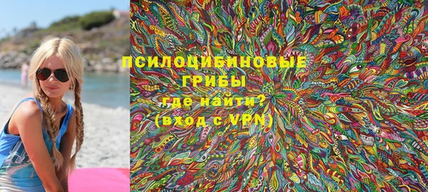 крисы Армянск